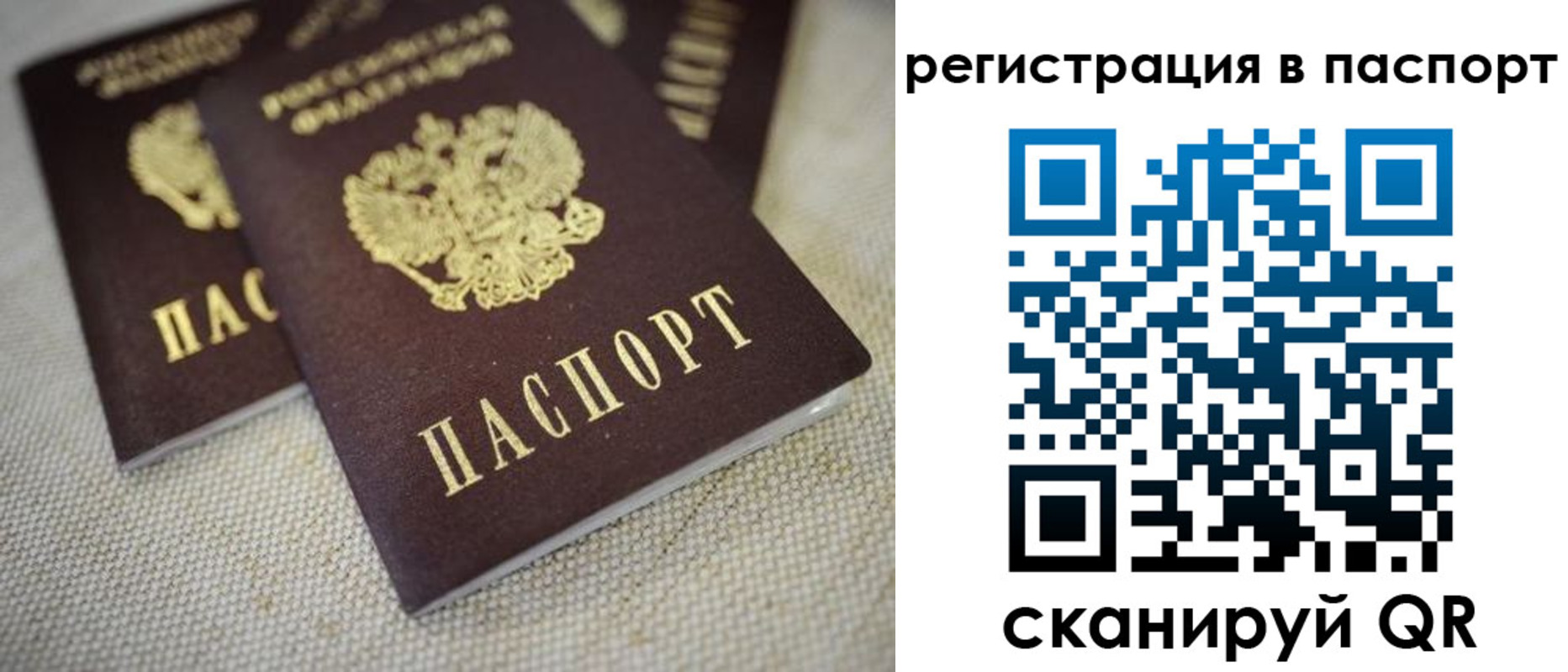 прописка гарантия в Клине
